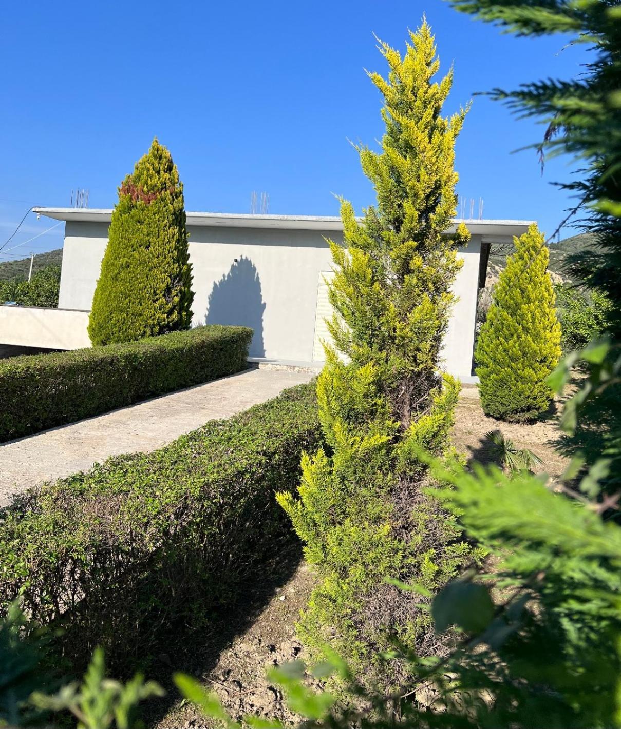 A&A House Pensionat Berat Exteriör bild